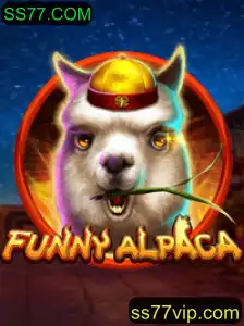 Descubra o Mundo Divertido de FunnyAlpaca