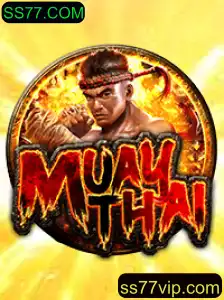 Explorando o Mundo do MuayThai: Regras e Introdução ao Jogo